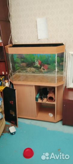Аквариум с тумбой 150л