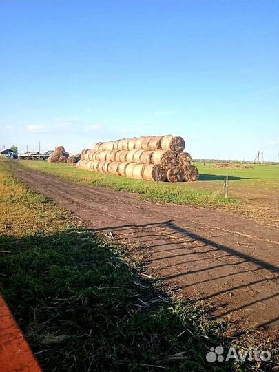 Сено в рулонах 2023