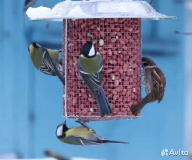 Кормушка для птиц