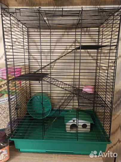 Клетка для грызунов бу