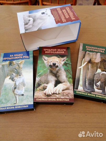 Видеокассеты познавательные (наборы)