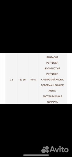 Зимний Комбез For my dogs