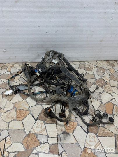 Проводка двс Kia Ceed Ed хэтчбэк 1.6 122 Л.C. 2010