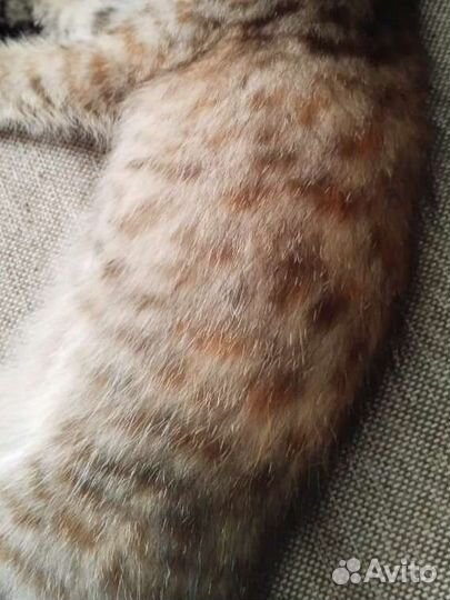 Кроха девочка