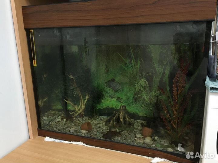 Аквариум 90 литров