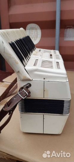 Аккордеон Аккорд Калуга