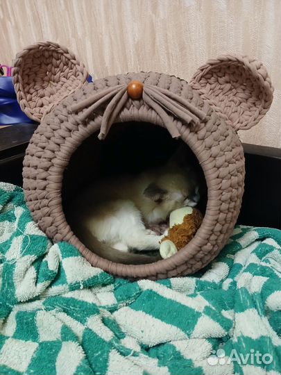 Лежанка корзинка для кота