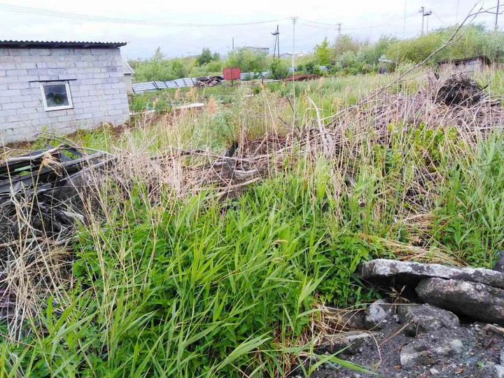 Участок 4,2 сот. (СНТ, ДНП)