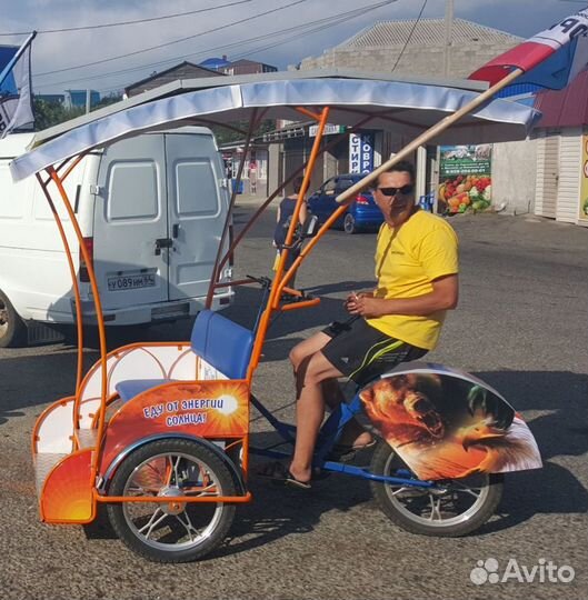 Велорикша Медведь Z1