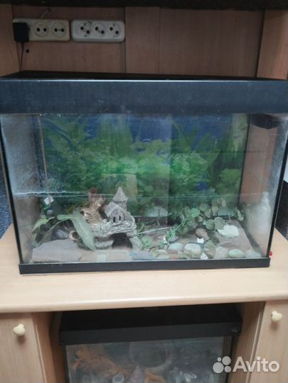 Аквариум