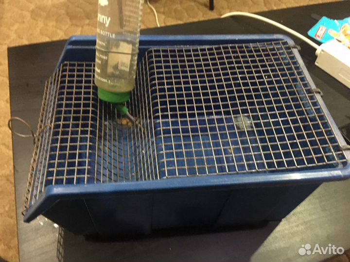 Клетка для грызуна