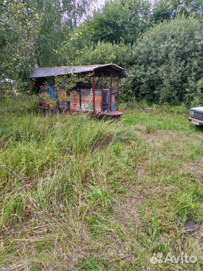 Продается пасека