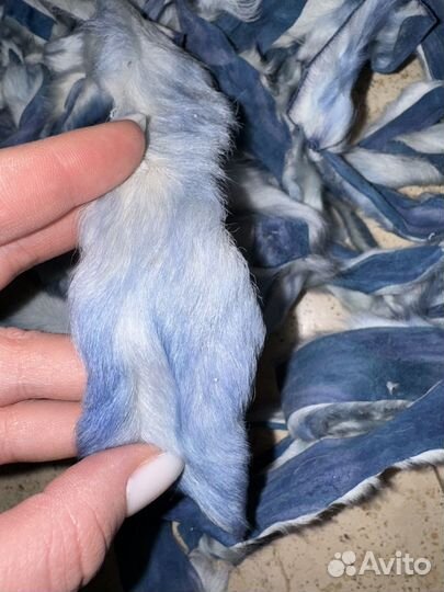 Шкурки козлика белые с голубым оттенком