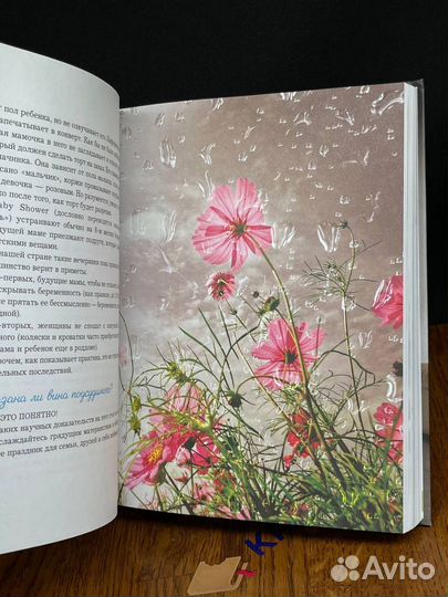 Адвокат беременных