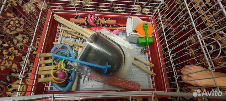 Клетка для попугая