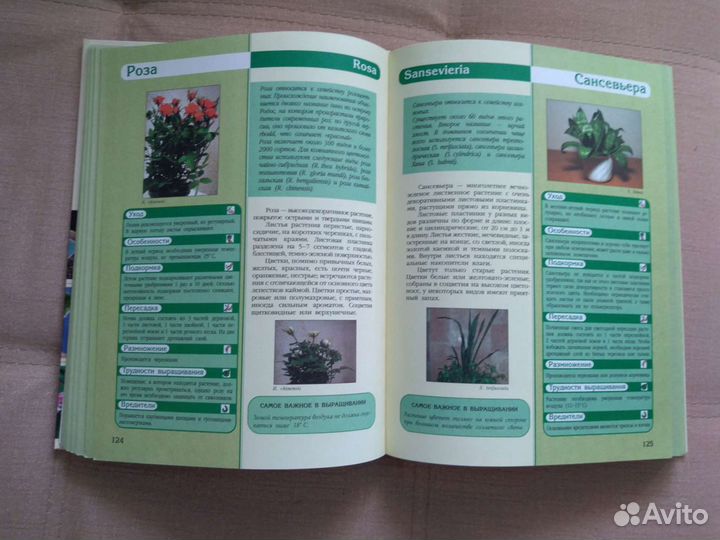 Книга энциклопедия комнатных растений