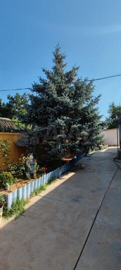 Дом 111,3 м² на участке 8,2 сот.