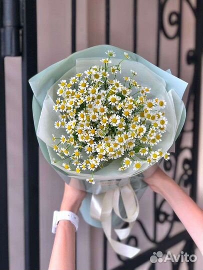 Букет ромашек