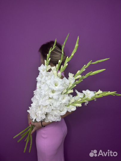 Гладиолусы. Белые гладиолусы. Букет гладиолусов