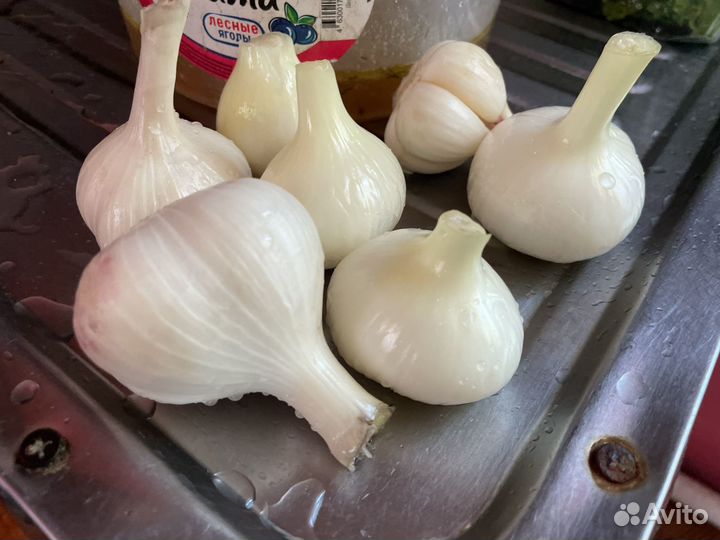 Продам чеснок