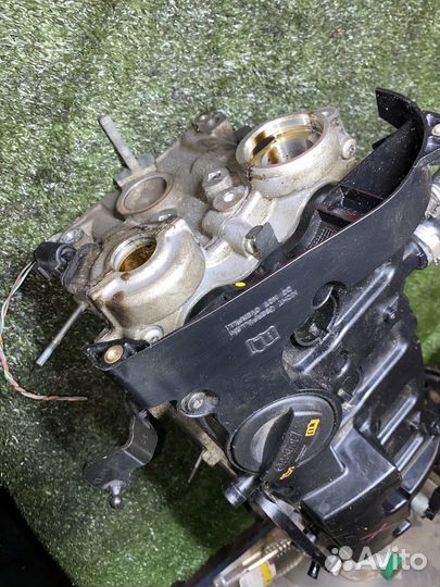 Головка блока цилиндров BWE Audi A4 B7 8ED без рас