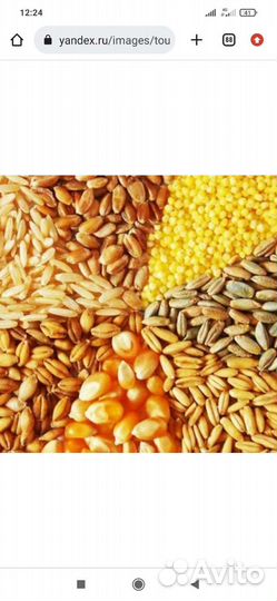 Зерносмесь ячмень пшеница кукуруза овёс