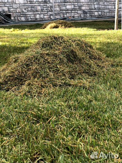 Аэратор скарификатор аренда