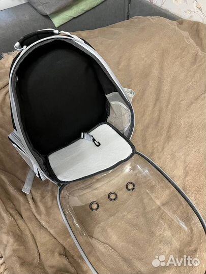 Прозрачный рюкзак-переноска для кошек