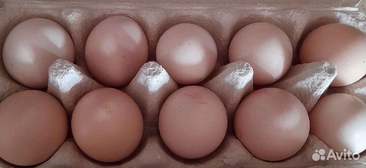 Яйца куриные,лапша,майонез