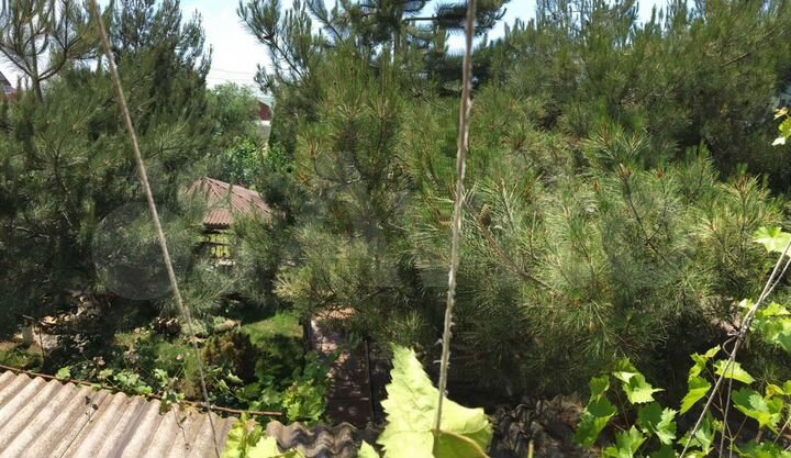 Комната 26 м², 1/2 эт.