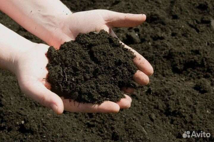 Чернозем, земля, грунт от производителя