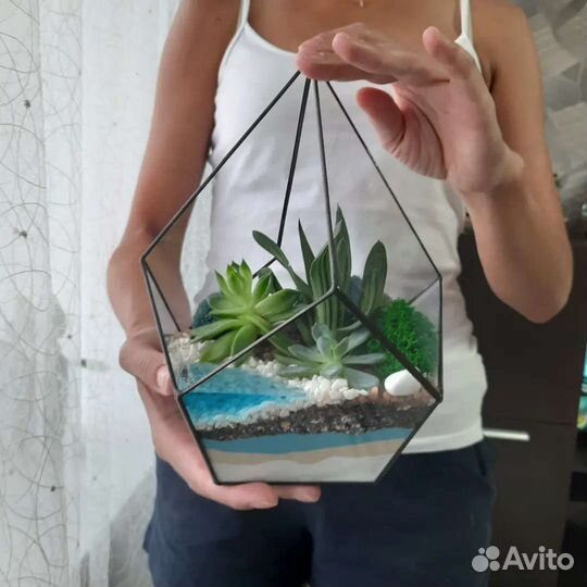 Флорариум из суккулентов с водоёмом