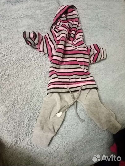 Вещи для собачек для малиньких породы