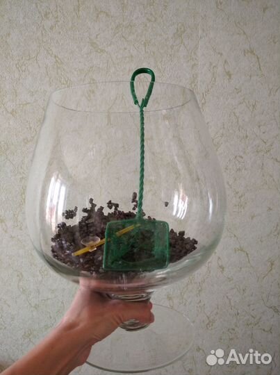 Аквариум 7 литров