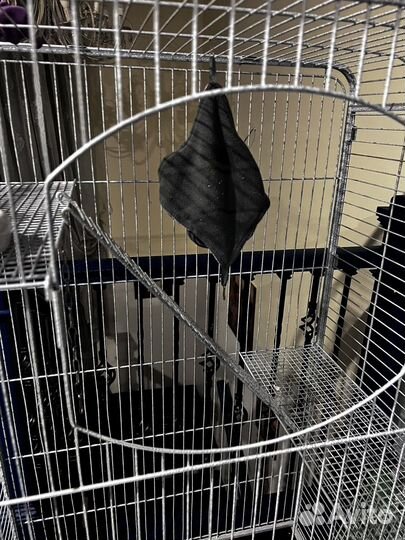 Большая клетка для грызунов