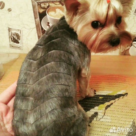 Стрижка кошек, собак. Любой сложности