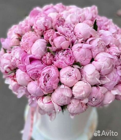 Пионы Розы Доставка