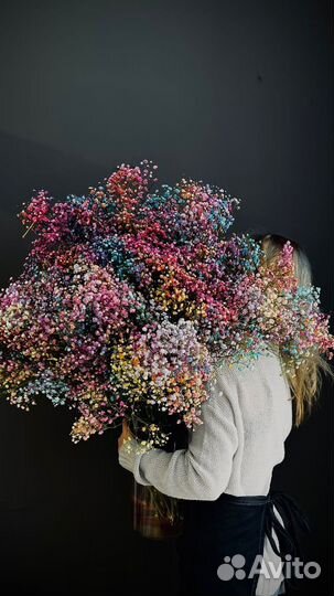 Радужная гипсофила с доставкой