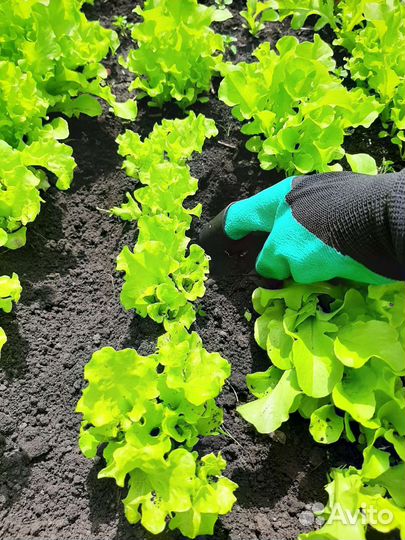 Перчатки садовые с когтями