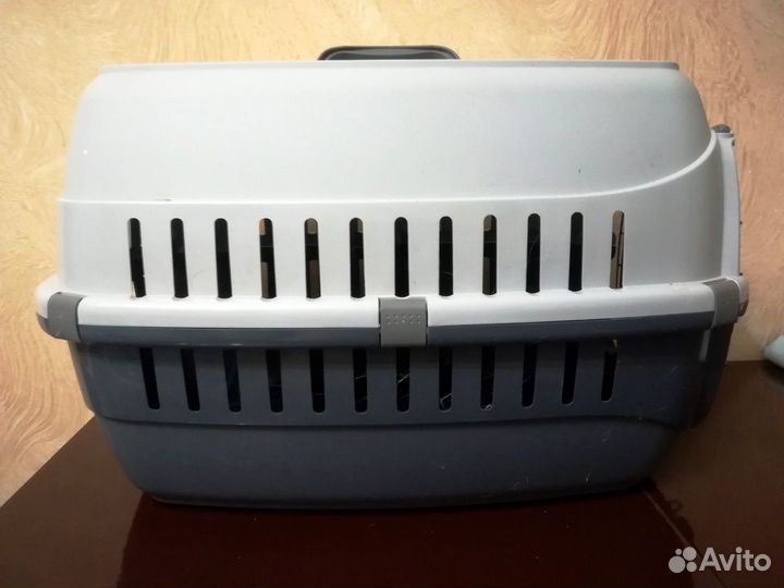 Moderna переноска Roadrunner с металлической дверь