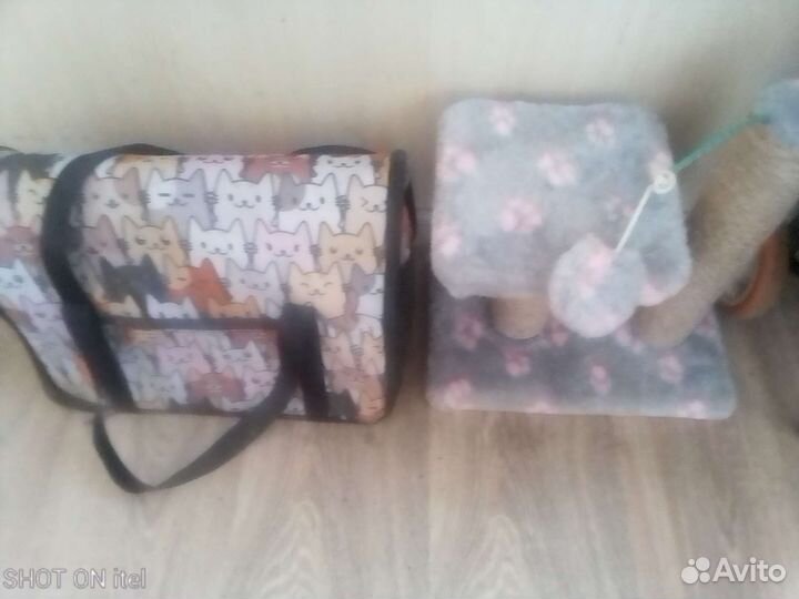 Когтеточка,переноска все почти новое