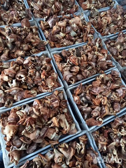 Мясо обрези для собак