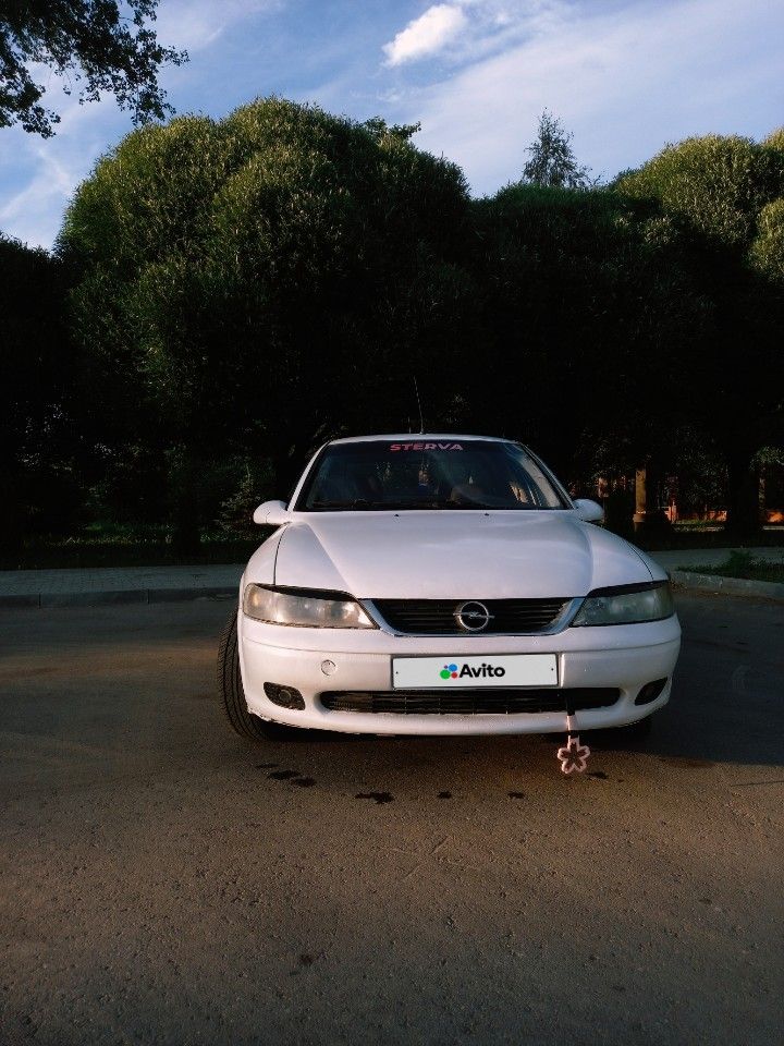 Opel Vectra: фото владельца