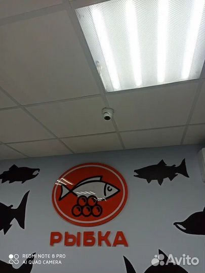 Интернет оборудование в офис / на дачу / на турбаз