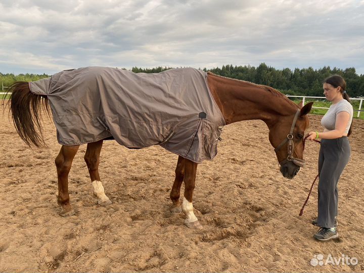 Дождевая попона Loesdau