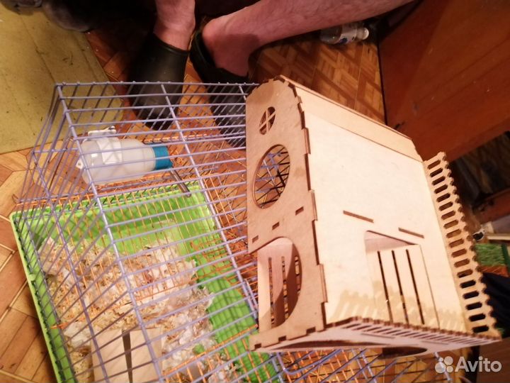 Клетка с домиком полкой и кормушкой