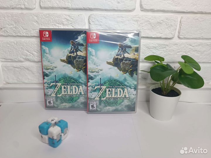 Legend of Zelda: Tears of the Kingdom (Switch)
