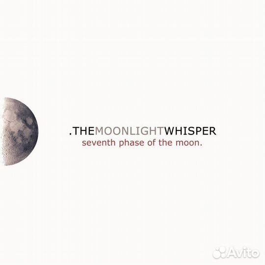 The Moonlight Whisper