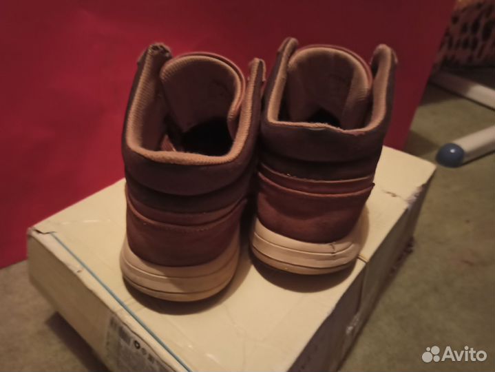 Мужские зимние ботинки T-Taccardi