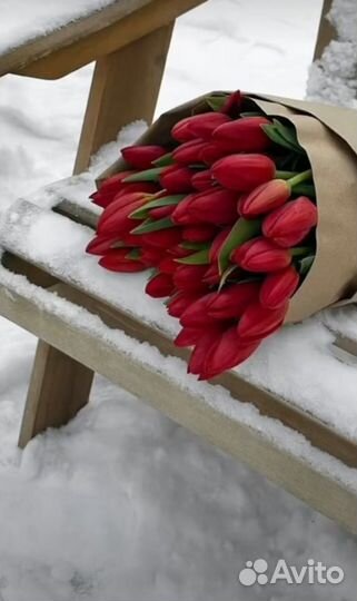 Тюльпаны к 8 марта оптом